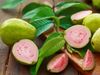 Guava and leaves Benefits in Hindi