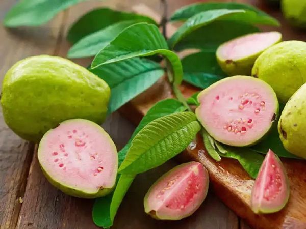 guava-benefits-tips