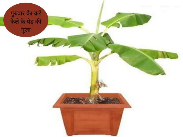 Guruwar ke Upay,गुरुवार के उपाय
