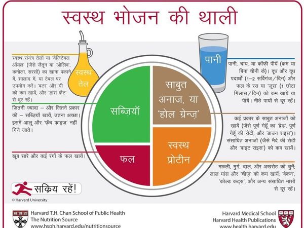 Hindi Harvard Healthy Meal Platter| what to eat, best food plan,Healthy eating,बेस्ट फूड प्लान, बेस्ट इटिंग फूड, हेल्दी मील,सेहतमंद खाना,Healthy meal, what to eat, best food plan, Harvard Healthy Platter,भोजन की थाली में क्या क्या होना चाहिए 