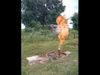 Fire and water coming out of hand pump at the same time Video goes Viral