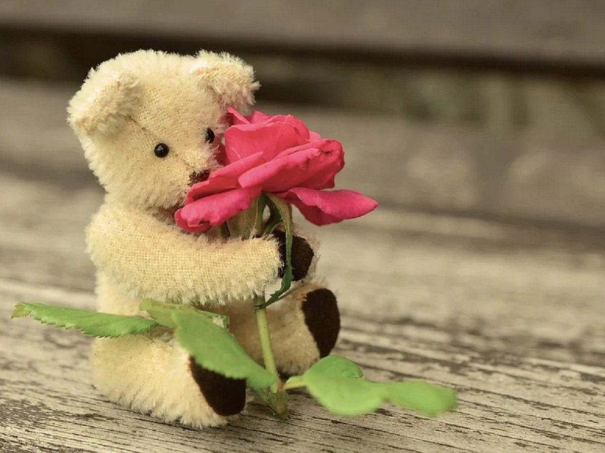 Happy Teddy Day Wishes, Happy Teddy Day Wishes: अपने पार्टनर का टेडी डे  बनाएं स्पेशल, भेजें ये प्यारे मैसेज और शायरी, Happy Teddy Day Wishes  Valentine Week Shayari Teddy Day 2021 Shayari