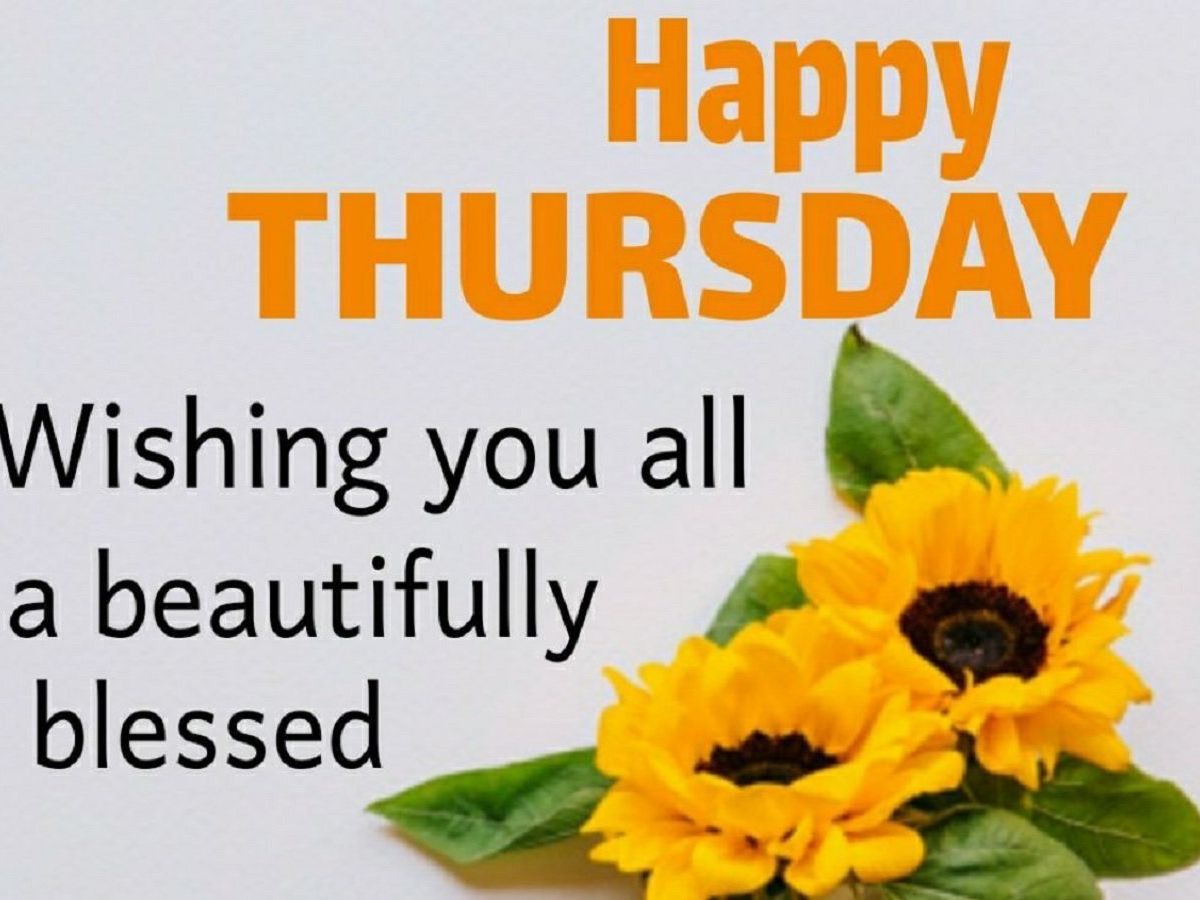 Happy Thursday good morning Wishes whatsapp Status messages and ...