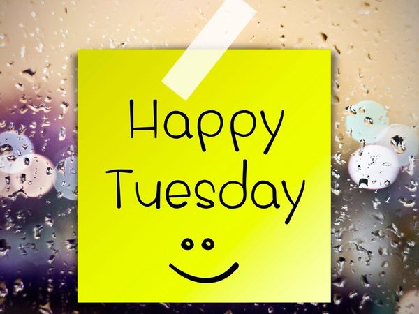 happy tuesday wishes