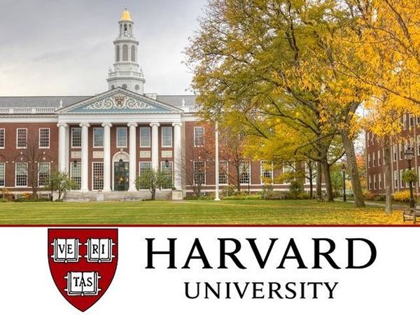 Harvard University