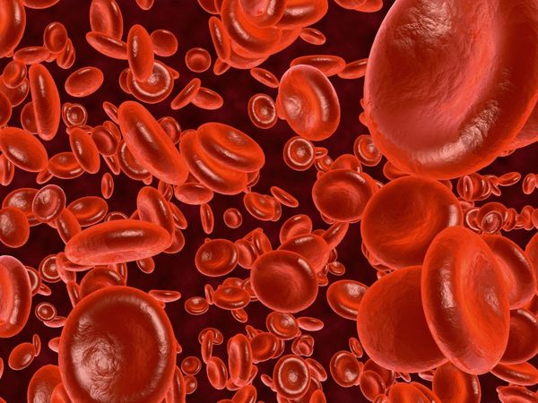 Iron rich and energy full foods