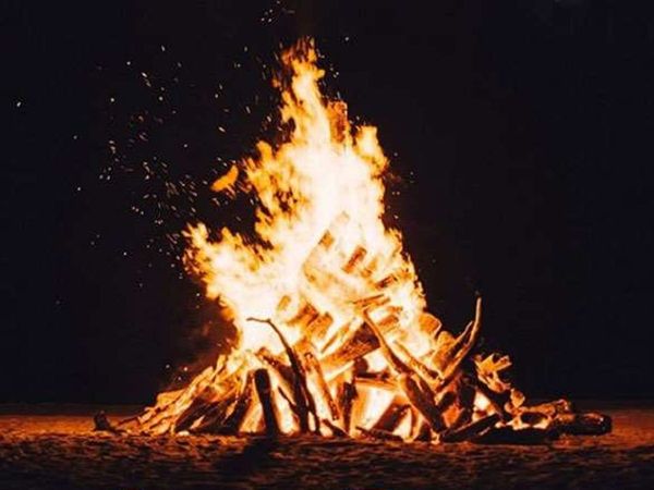 What woods should use in Holika Dahan 2021