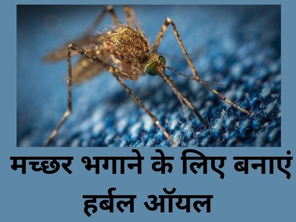 Homemade Mosquito Oil