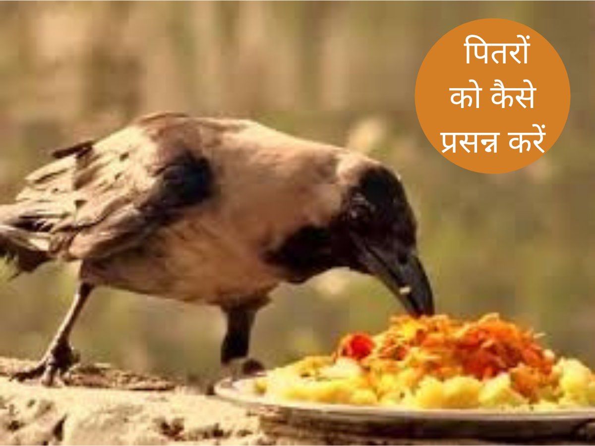 Pitru Paksha Facts : शास्त्रों में पितृ समान माने गए हैं ये 3 वृक्ष, पक्षी और जलचर, कभी न करें इनका अपमान
