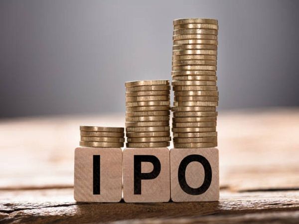 How to check LIC IPO Share Allotment online