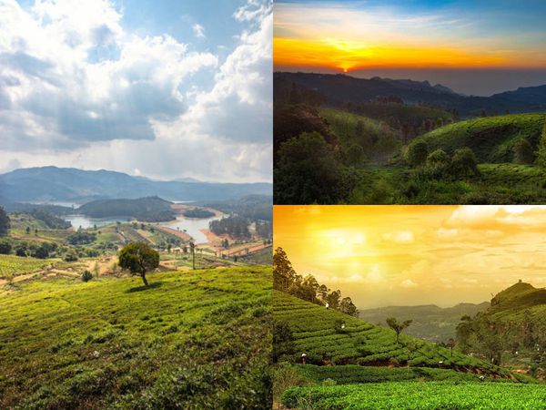 IRCTC Tour Packages For Hill Stations, IRCTC Tour Packages 