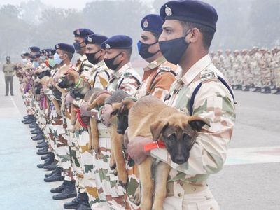 ITBP promoted 64 Head Constables of Animal Transport Cadre to ASI for the first time, ITBP: 'एनिमल ट्रांसपोर्ट कैडर' के 64 कांस्टेबलों को पहली बार मिला प्रमोशन, बने ASI | Times Now ITBP promoted 64 Head Constables of Animal Transport Cadre to ASI for the first time, ITBP: 'एनिमल ट्रांसपोर्ट कैडर' के 64 कांस्टेबलों को पहली बार मिला प्रमोशन, बने ASI | Times Now