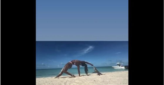 Viral Video: Woman was posing on the beach, suddenly the animal will be stunned to see what she did, Viral Video Iguana Attack woman while doing yoga on beach video goes viral on social media