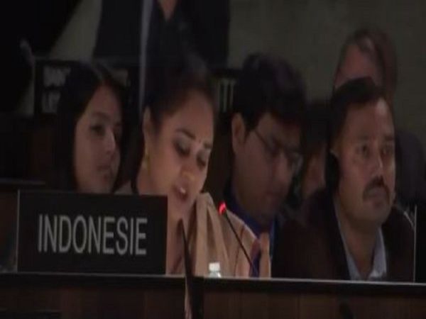 Indias befitting reply to Pakistan in UNESCO