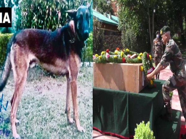 Last tribute paid to the Indian Army’s dog Axel, was shot dead during an operation