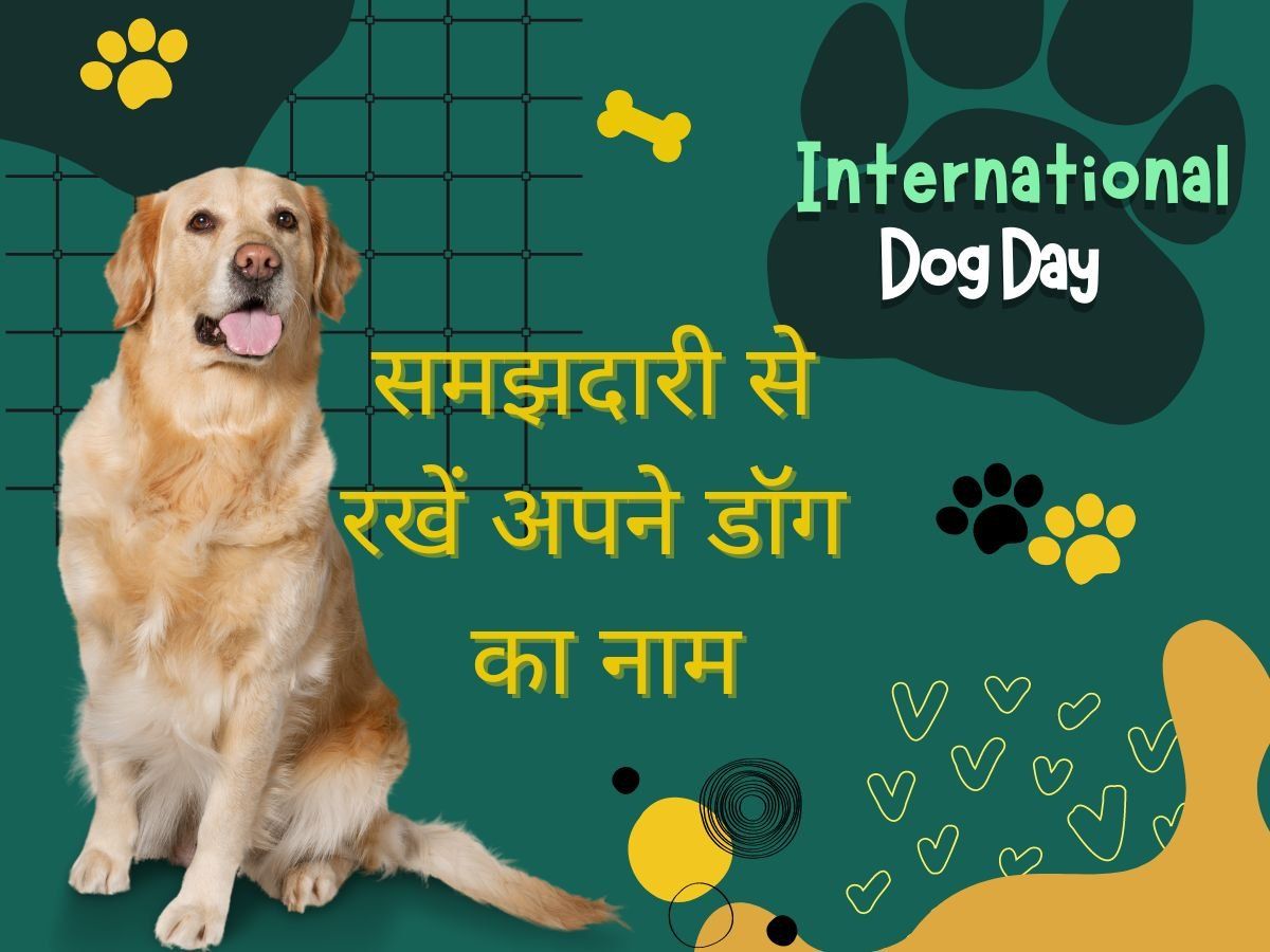 International Dog Day Know how to name your dog International Dog Day