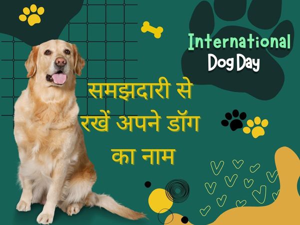 International Dog Day 2022