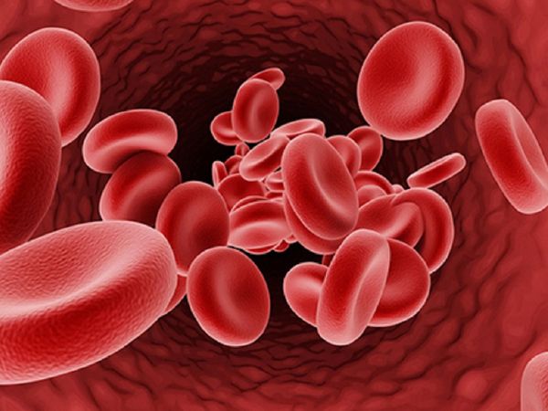 Iron Deficiency Symptoms in Body