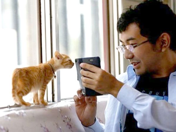 japan pets registration