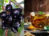 Jamun Leaves tea