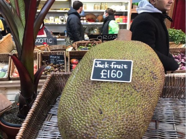 Viral Photo Jack Fruit Photo Goes Viral Due to Price Know About Truth