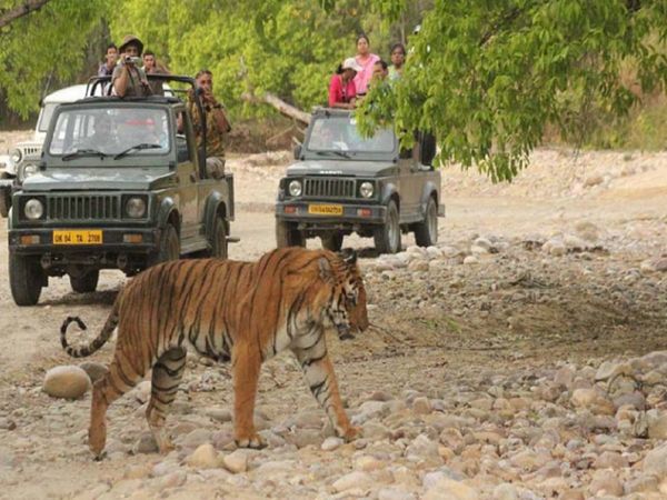 Jim Corbett National Park