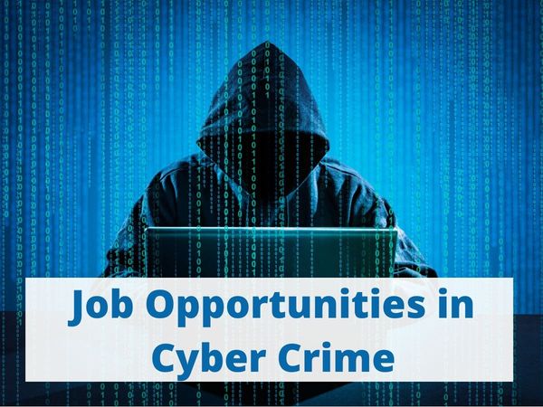 Cyber Crime Job Opportunities