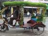 man grew grass on his rickshaw to stay cool even in the heat Jugaad Photo Goes Viral