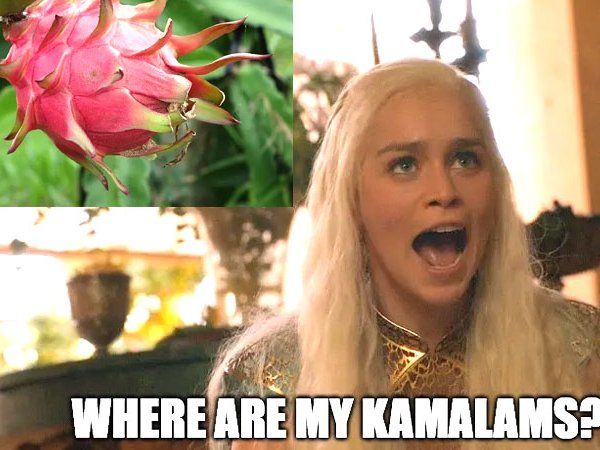 change name of a fruit in red and pink color known as Dragon Fruit to Kamalam many memes came on it 