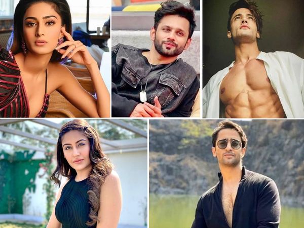 Khatron Ke Khiladi 11 Rohit Shetty Show Contestant Asim Riaz to Erica Fernandes shaheer shaikh 10 TV celebs in 