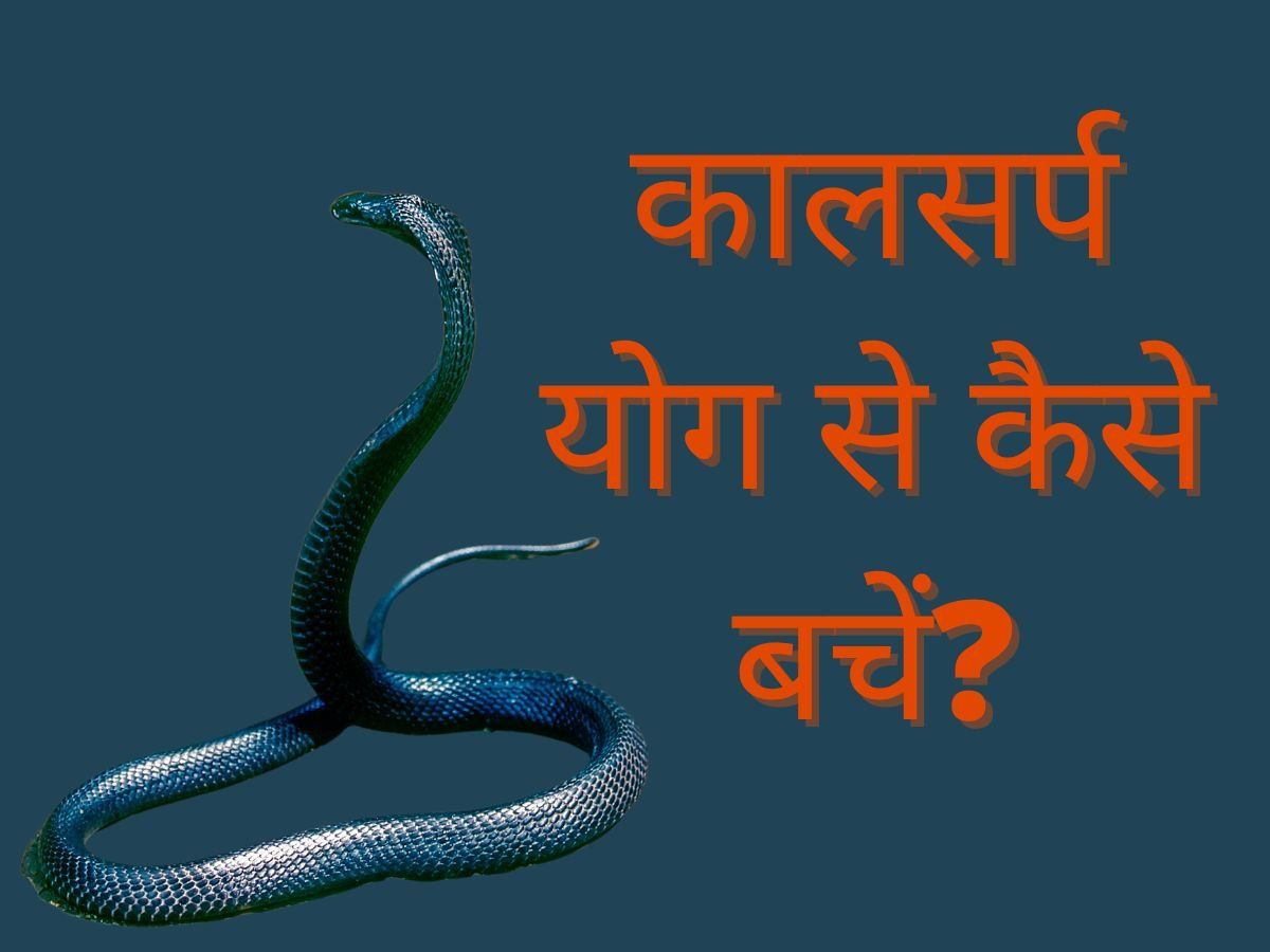 Kaal Sarp Yog: क्या होता है काल सर्प योग? जानें इसके दुष्परिणाम और बचने के उपाय