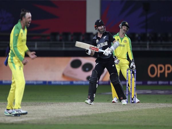 Kane-Williamson-T20-World-cup-Final