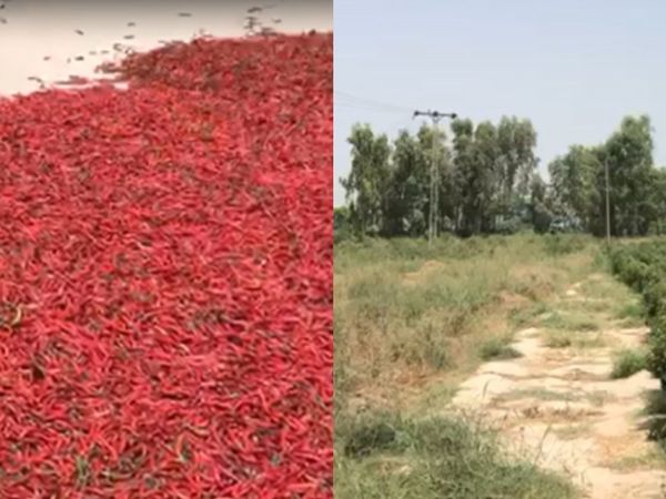Khanewal cricket stadium, Pakistan