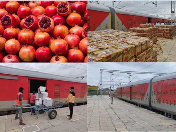 Government Big decision, 50 percent discount on transportation of fruits and vegetables via Kisan Rail