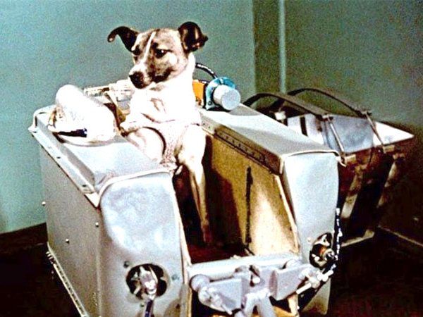 3 November's history 