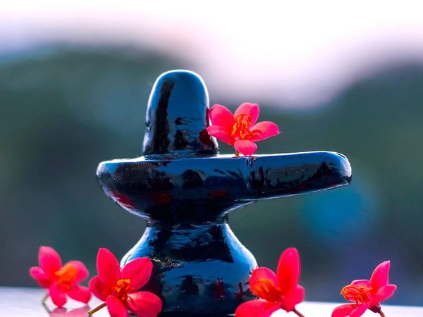 Sawan Somvar 2022 Images: