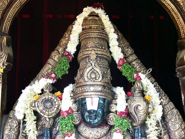 Tirupati Balaji VIP Darshan Video