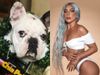 Lady Gaga Dogs Robbery