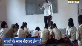 लंगूर पर चढ़ा पढ़ाई करने का भूत,रोज क्लास में लगा रहा हाजिरी