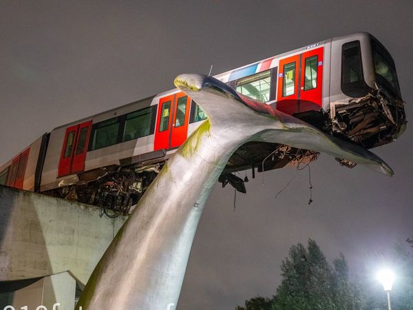 Metro train derailed, whale tail saved from major accident, watch viral video