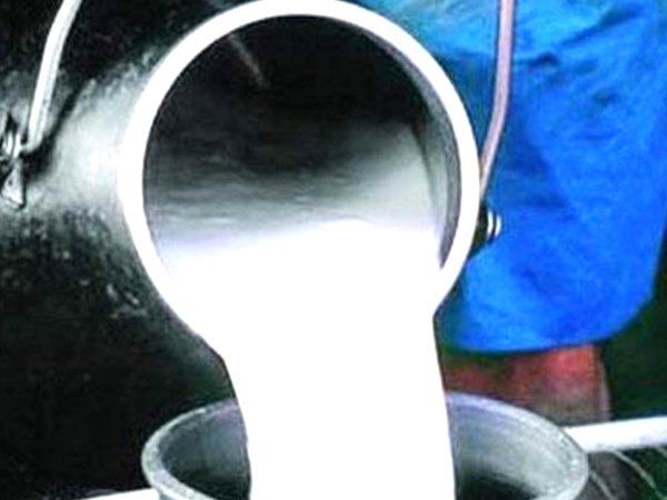 World Milk Day: जानें क्यों 1 जून को मनाया जाता है 'विश्व दुग्ध दिवस',वर्गीज कुरियन लाए थे व्हाइट क्रांति
