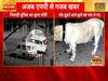 The thieves took away the sniffer dog of the police in Madhya Pradesh