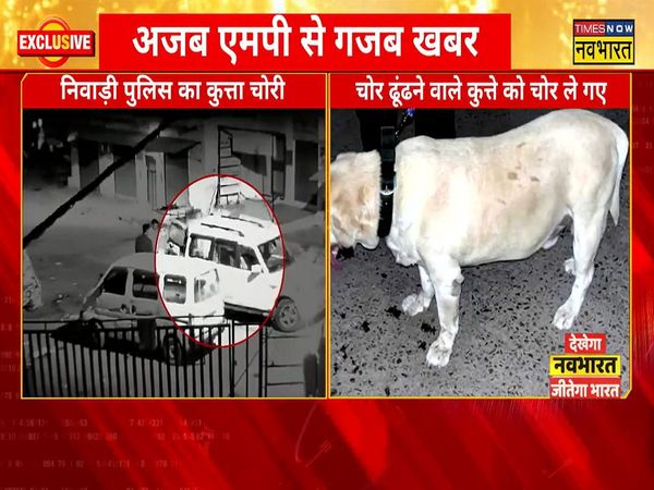 The thieves took away the sniffer dog of the police in Madhya Pradesh