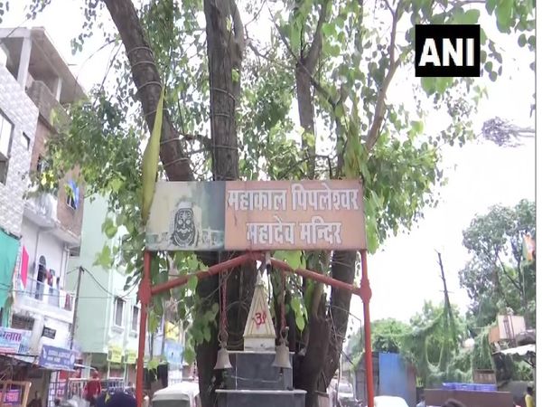 MP Shivling vandalised