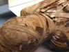 Mummy is in danger which kept in Jaipur's Albert Hall Museum due to heavy rain