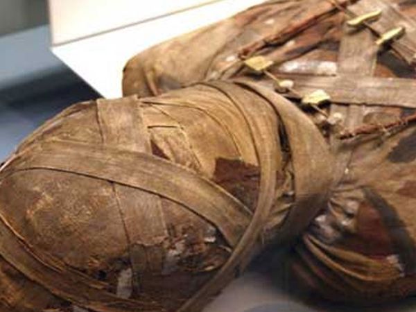 Mummy is in danger which kept in Jaipur's Albert Hall Museum due to heavy rain