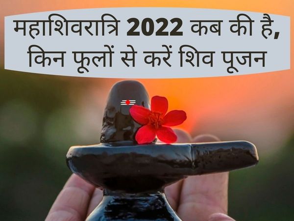 Mahashivratri 2022 date, puja vidhi: know favorite flowers of lord shiva, bholenath ka priye phool kaun sa hai- महाशिवरात्रि 2022 क‍िस तारीख की है, जानें श‍िवजी को कौन सा फूल चढ़ाएं