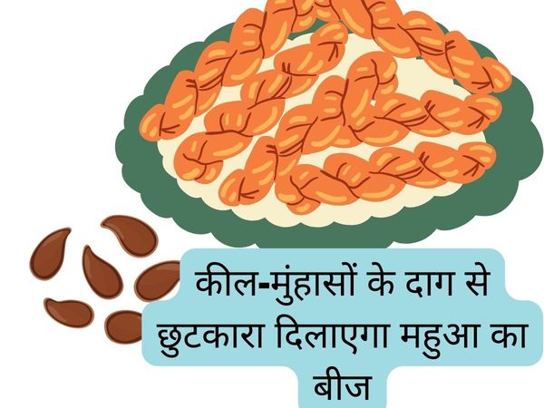 Benefits Of Mahua Seeds