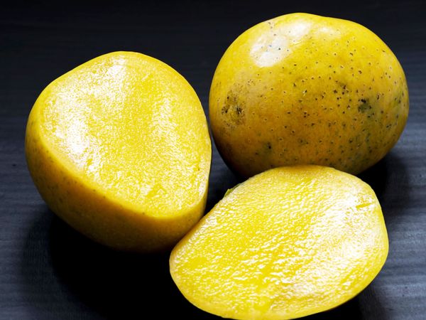 Mango Buying Trick & Tips