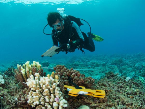 Career in Marine Archaeology